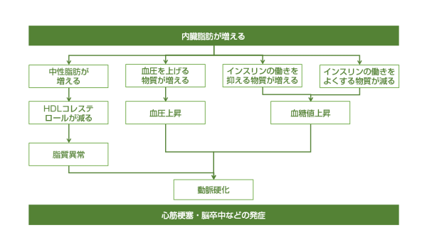 内臓脂肪が増えることによる影響