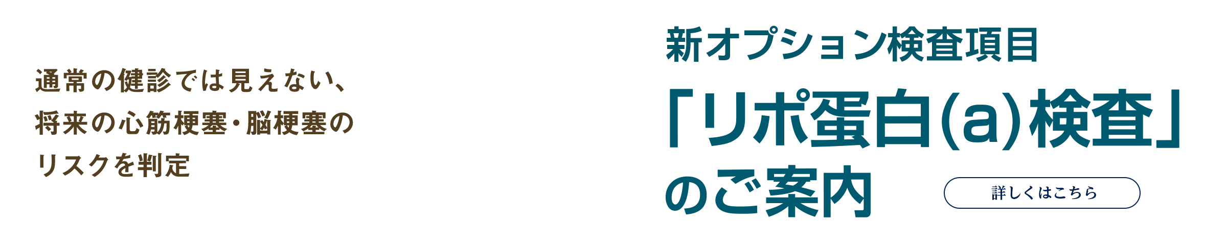 リポ蛋白(a)検査のご案内