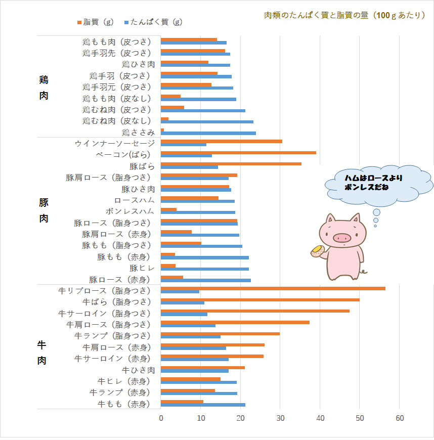 たんぱく質と脂質